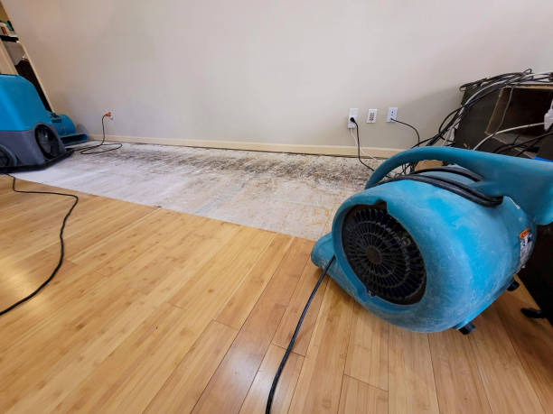 Professional Water Extraction technician working in Loretto, MN